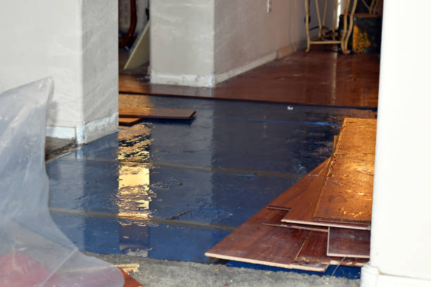 Professional Flood Damage Repair technician working in Moorland, IA